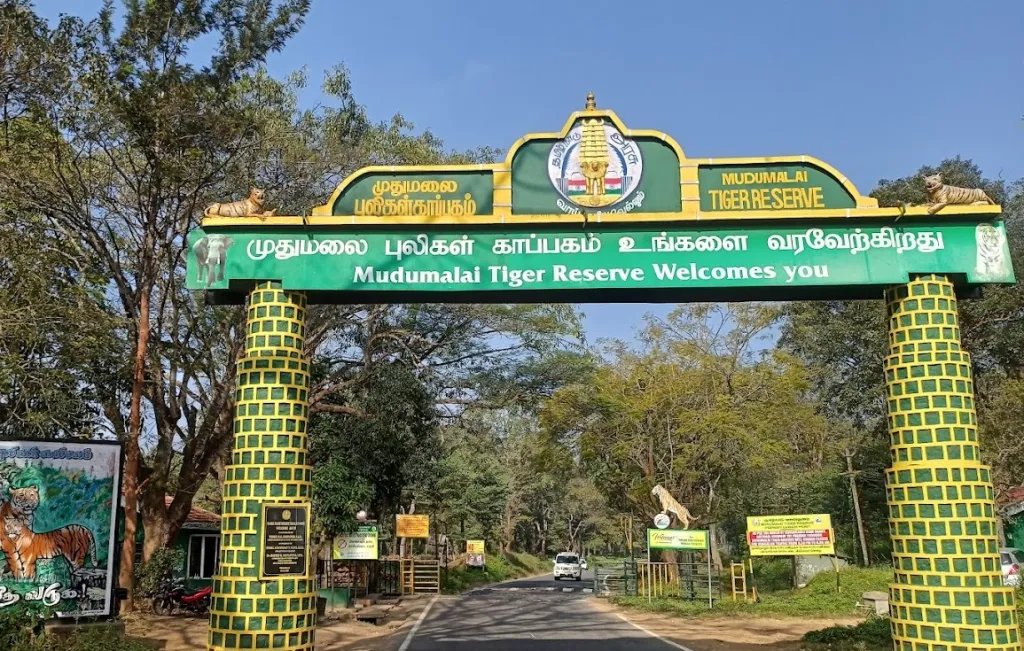MUDUMALAI NATIONAL PARK