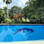 Chidambaram AR V - Trip Photo